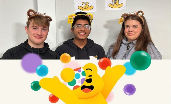 CiN – web